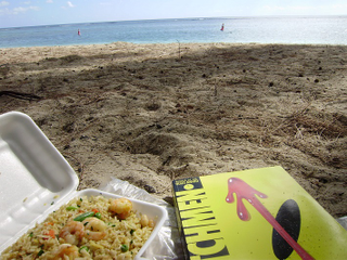 Illustration for article titled Holiday shopping: Mauritius
knock-off edition